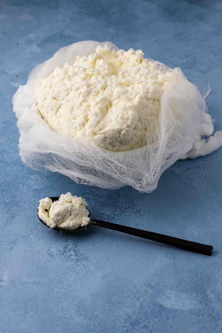 fresh homemade ricotta recipe