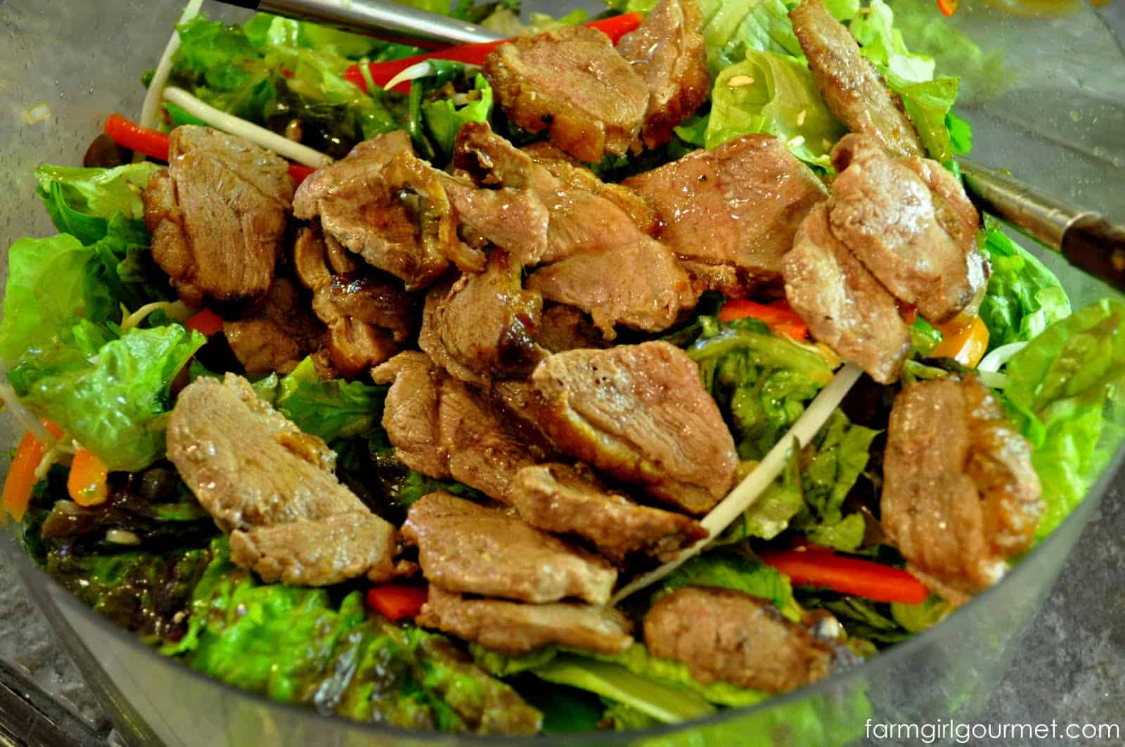 wok seared duck salad