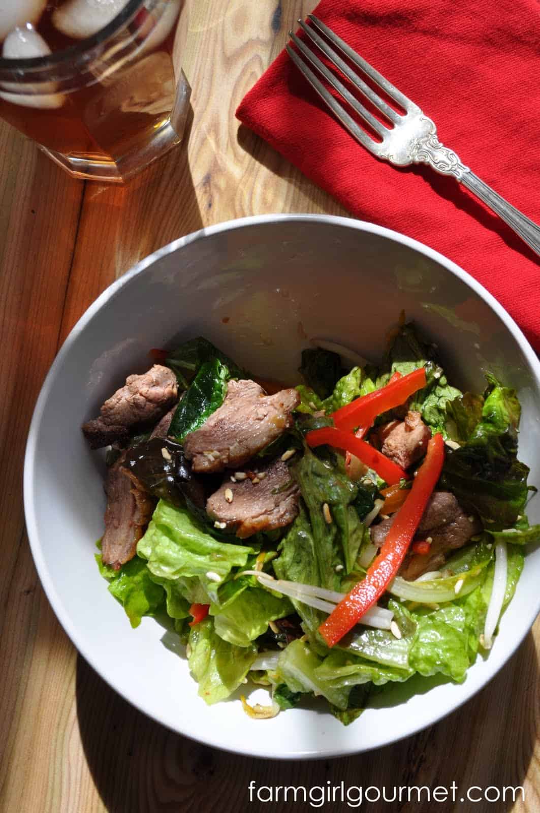 wok seared duck salad