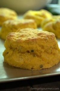 butternut squash biscuits