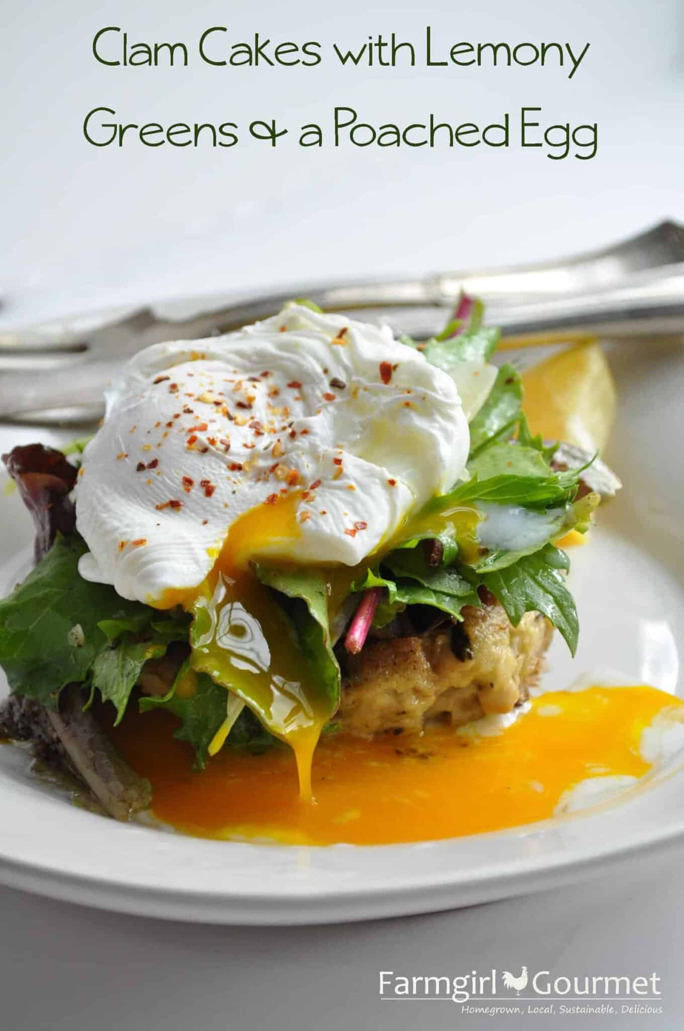 clam cakes with greens and a poached egg on top