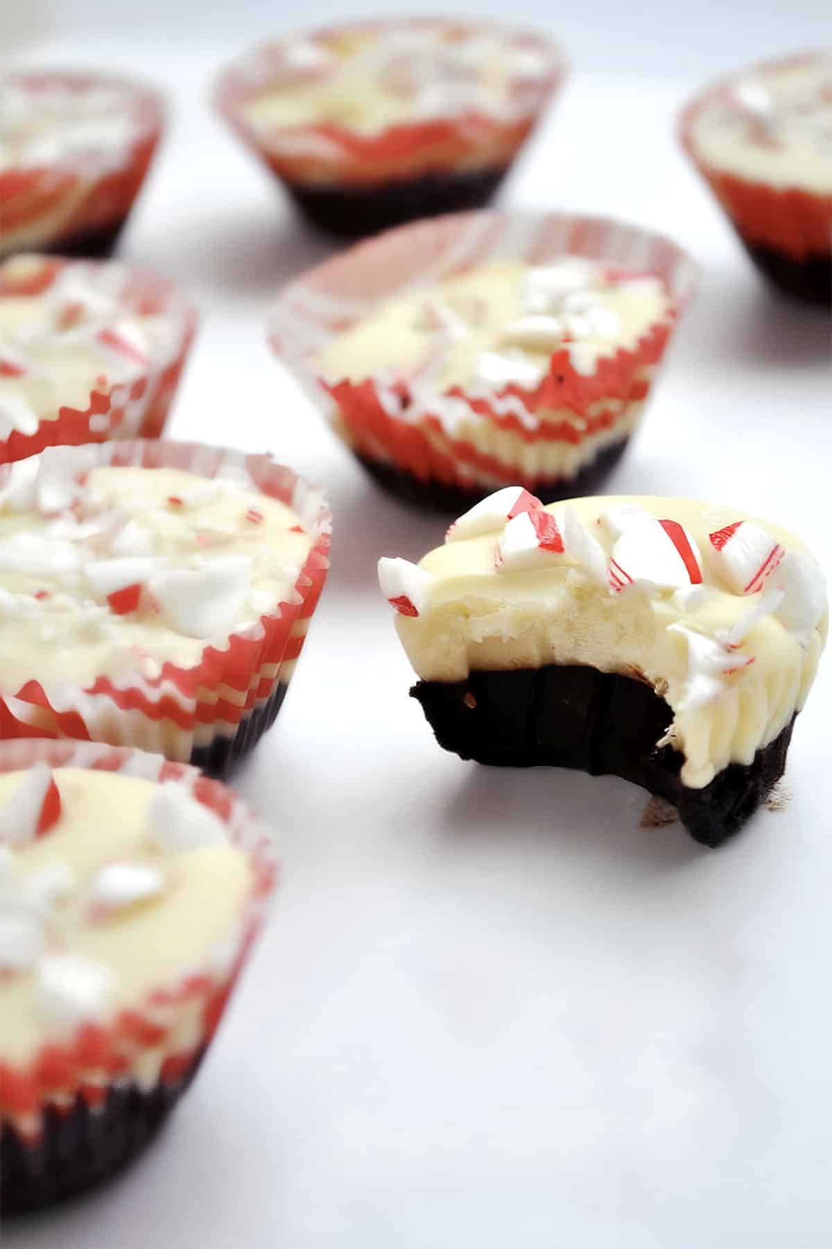 Peppermint bark cups in mini muffin papers with crushed candy canes