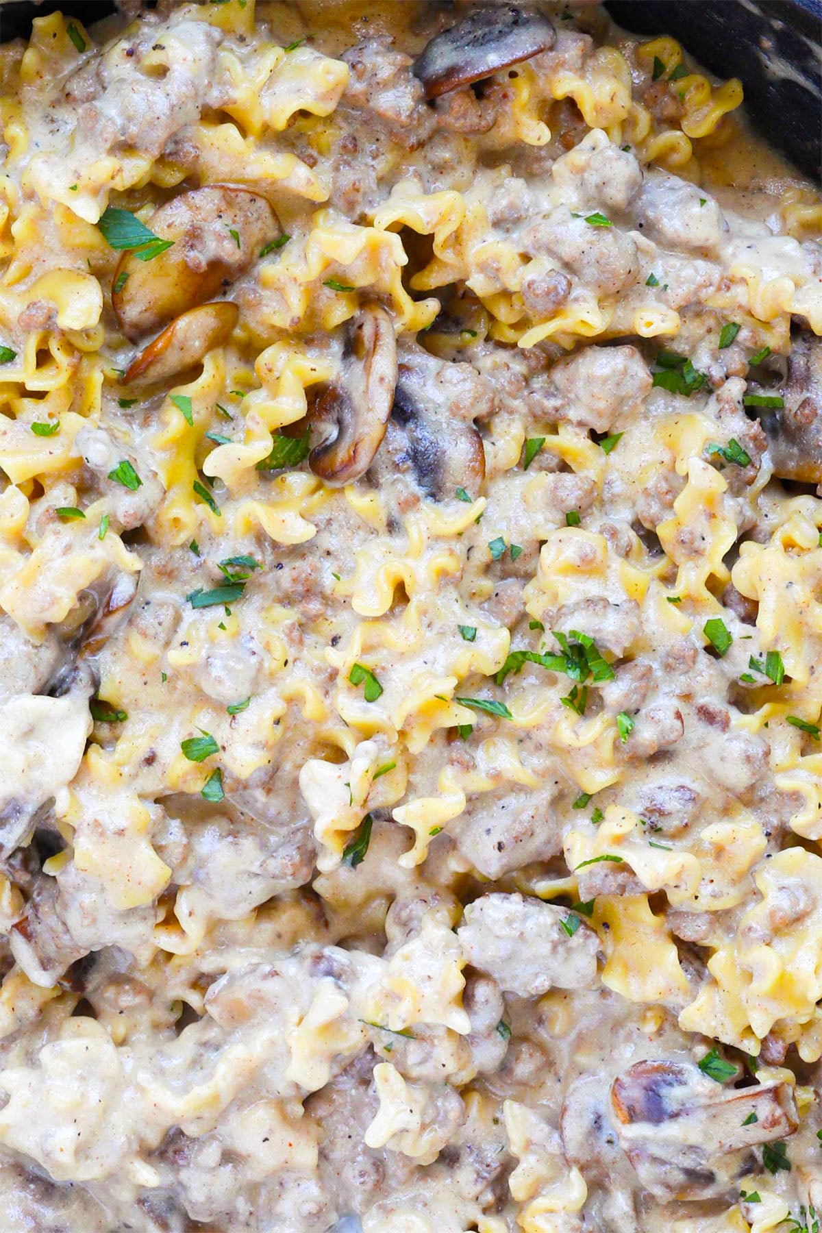 Close-up of creamy pasta with ground beef stroganoff hamburger helper, sliced mushrooms, and a rich sauce, garnished with chopped parsley. The pasta is coated evenly, creating a hearty and comforting dish.