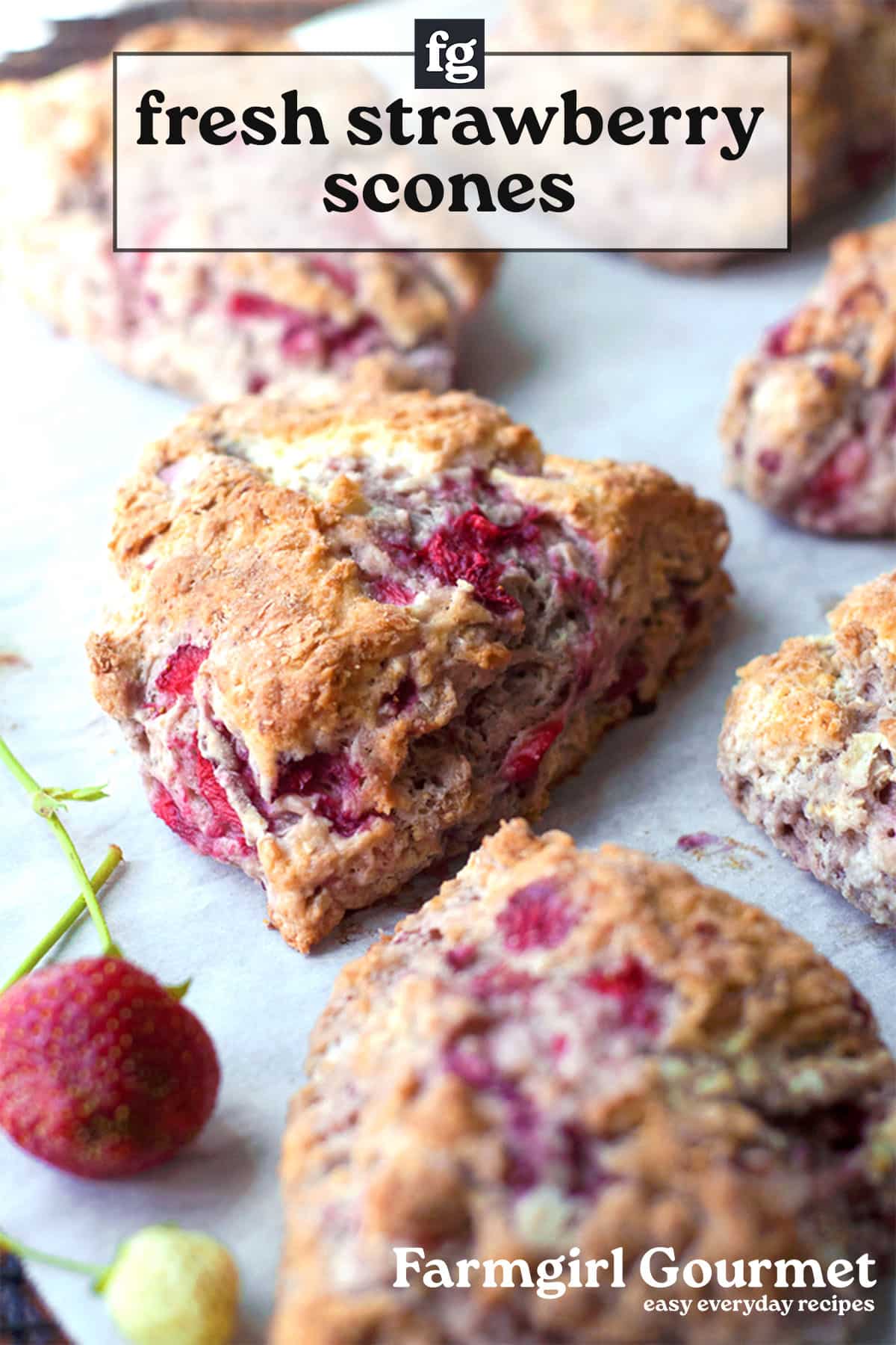 Freshly baked fresh strawberry scones with visible strawberry pieces are arranged on parchment paper, with a couple of fresh strawberries nearby. Text reads fresh strawberry scones and Farmgirl Gourmet easy everyday recipes.