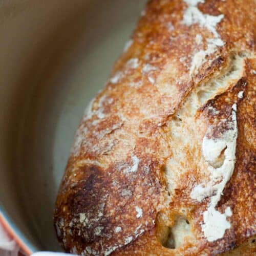 A close-up of a golden-brown, crusty loaf of no knead bread resting in a round, light-colored Dutch oven. Some patches of flour are visible on the surface of the artisanal bread.