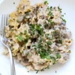 Beef Stroganoff like hamburger helper