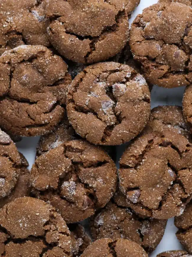 chocoalte gingerbread cookies