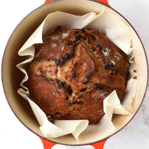 A round loaf of cinnamon raisin bread with chocolate chips sits on parchment paper inside an orange Dutch oven, viewed from above on a white marble surface.