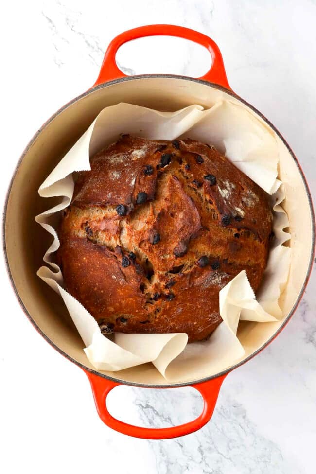 A round loaf of cinnamon raisin bread with chocolate chips sits on parchment paper inside an orange Dutch oven, viewed from above on a white marble surface.