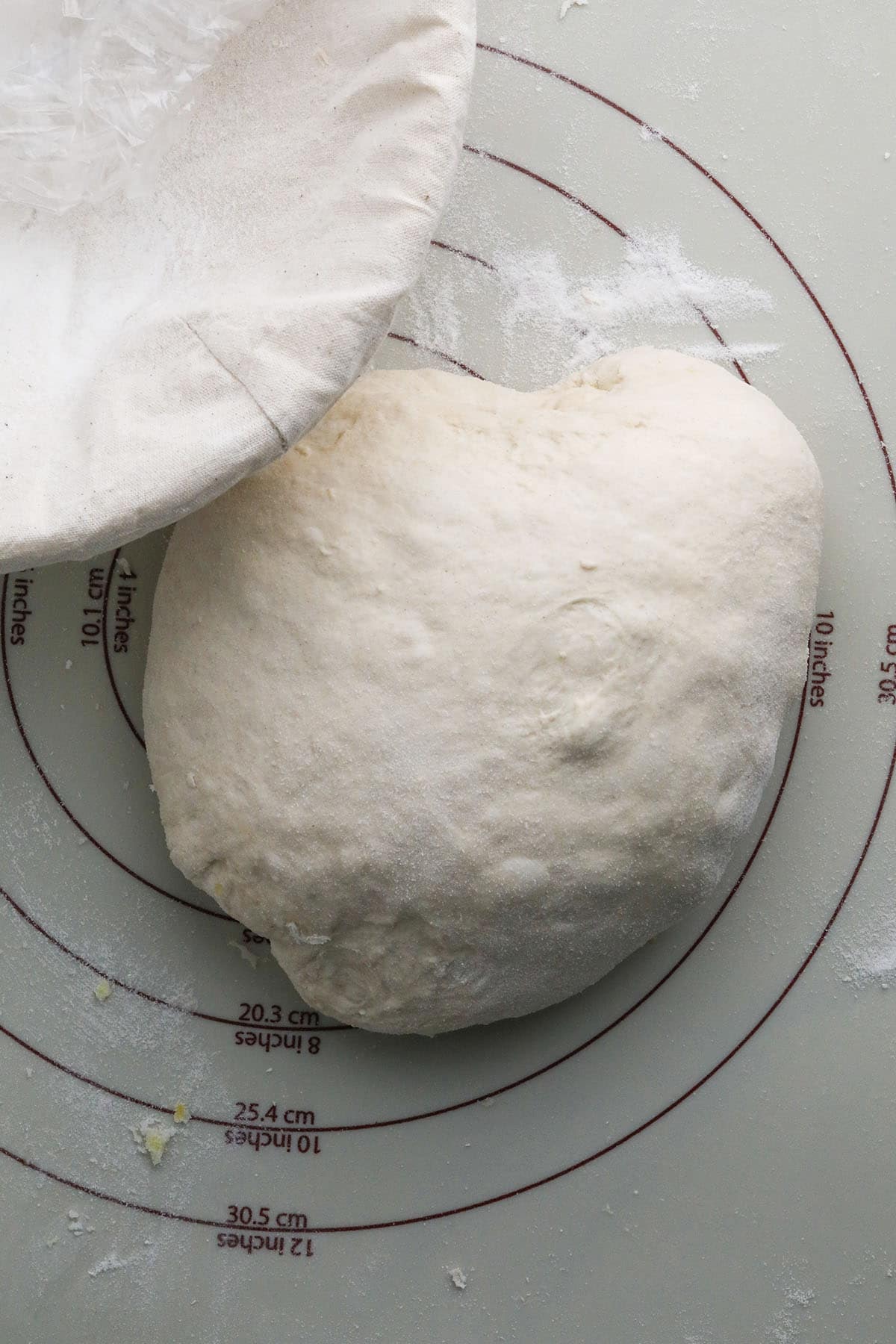 bread ready to be proofed