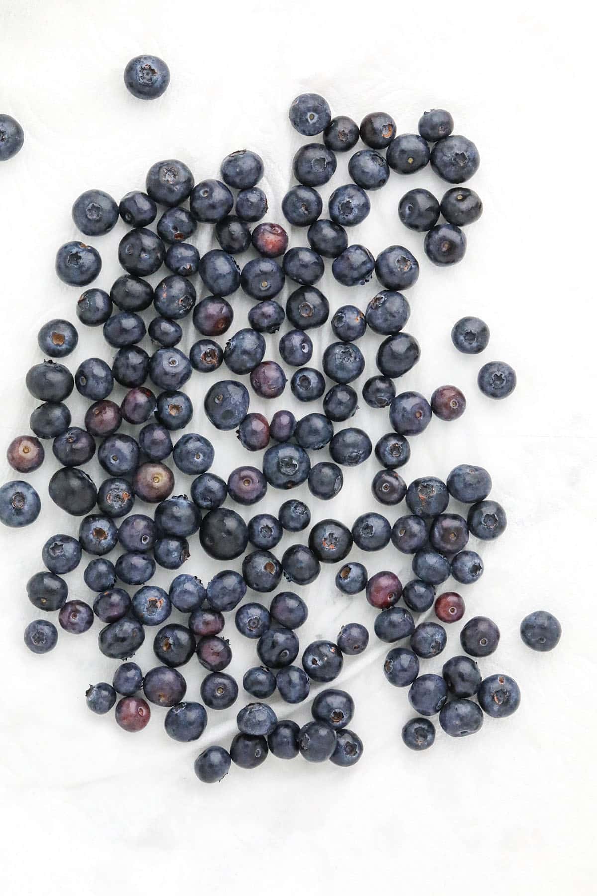 fresh blueberries on a paper towel
