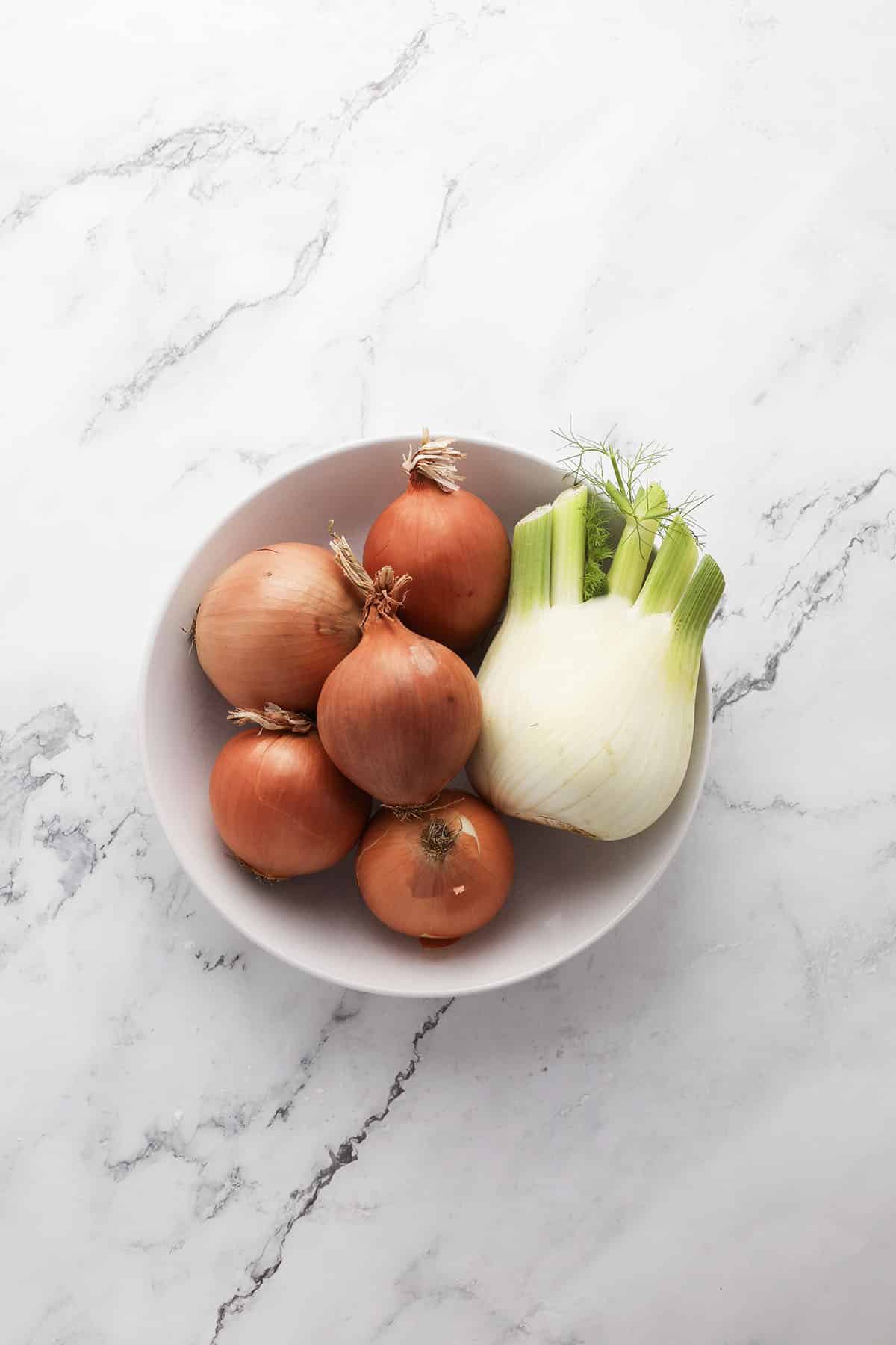 a bowl of onions and fresh fennel