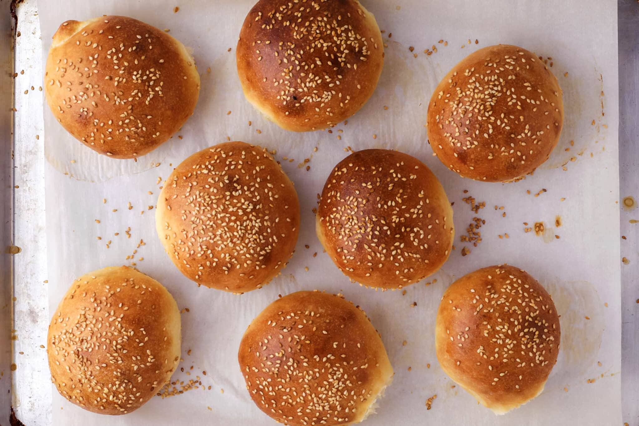 Eight golden brown, soft homemade hamburger buns topped with sesame seeds are arranged on a baking sheet lined with parchment paper—a perfect result from the best hamburger bun recipe.